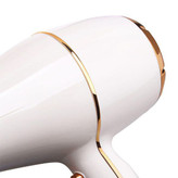 سشوار حرفه ای مک استایلرMC-6690A